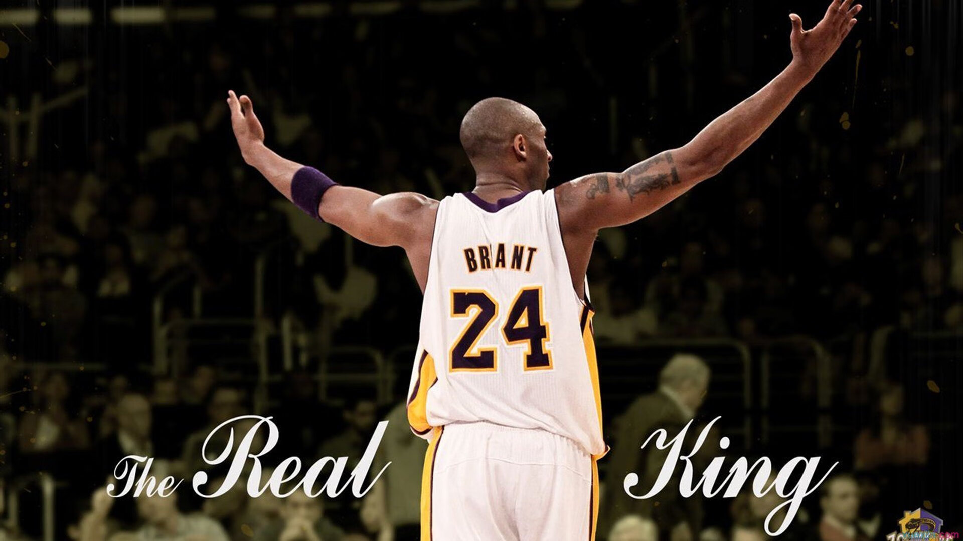 梅德韦杰夫的反击真漂亮,防守反打一绝,梅德韦杰夫能力如何